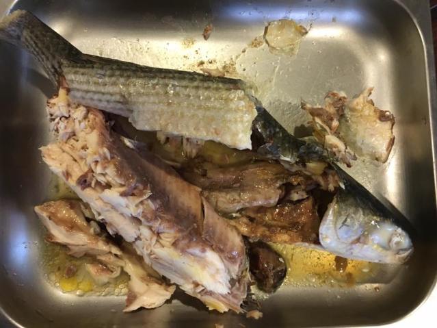 chilled mullet4 16.3.2016