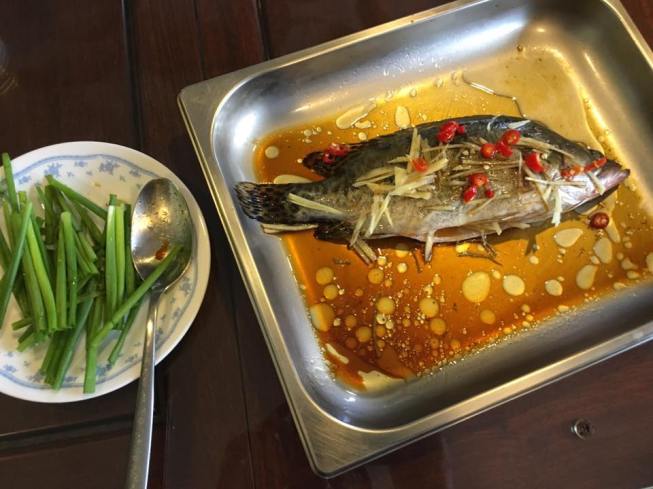 港蒸 HK steamed 桂鱼