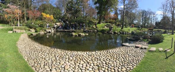 japanese garden @ holland park