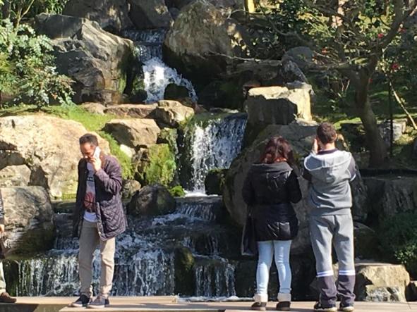 japanese garden @ holland park