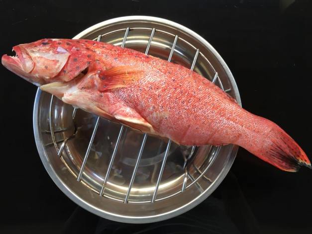 red garoupa (about 550g)