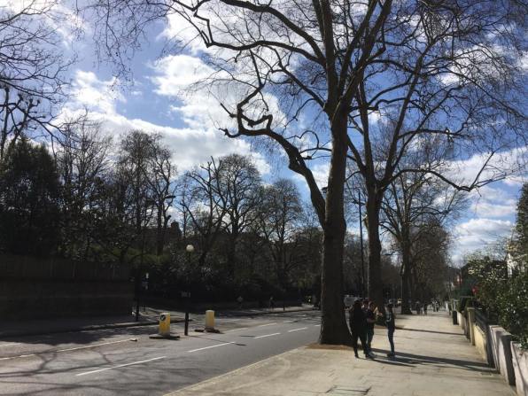 road to holland park