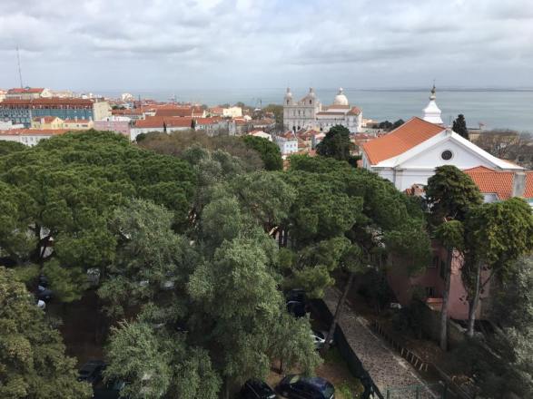 View from castelo sao jorge
