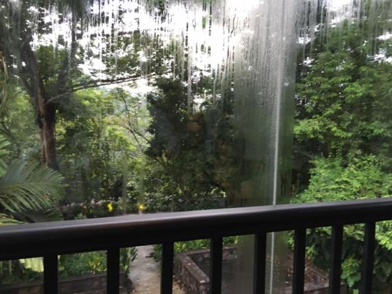 looking out of the verandah