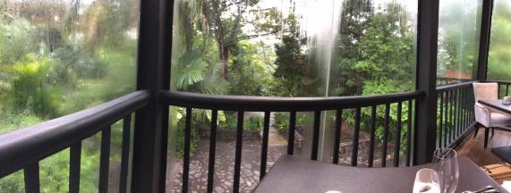looking out of the verandah2