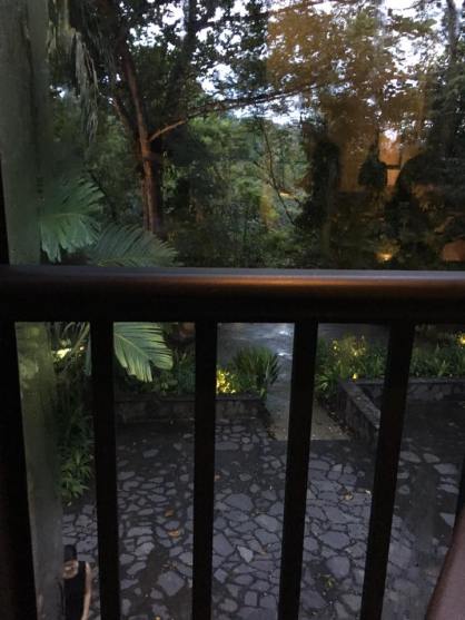 looking out of the verandah3