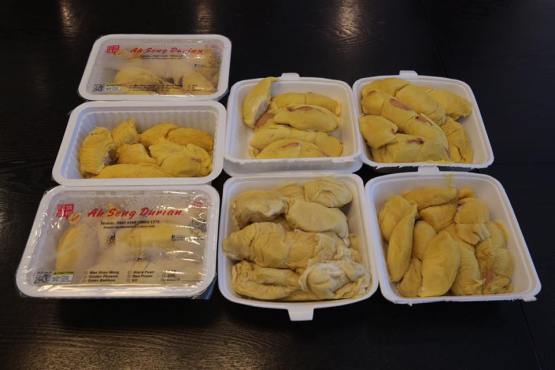 猫山王MSW & 竹脚