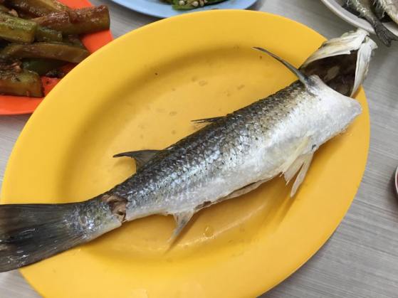 chilled mullet 冻乌鱼