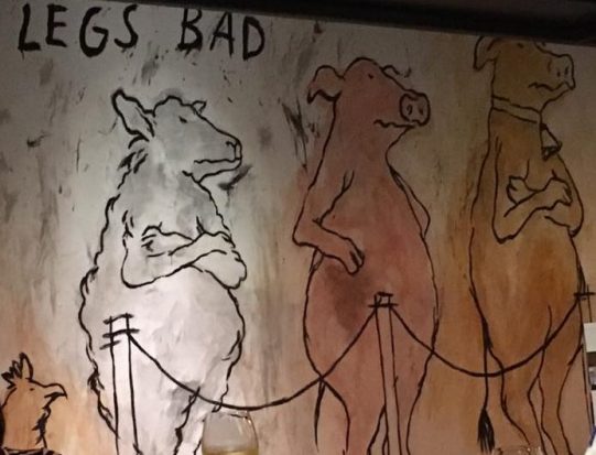 discriminating birds or human?