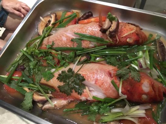 HK steamed red garoupa