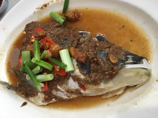 steamed song fish head