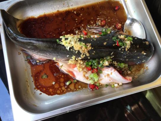 hk steamed pating fish