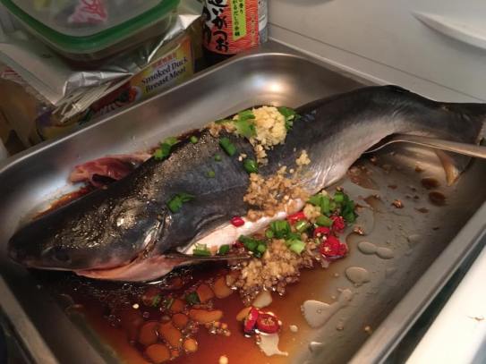 hk steamed pating fish