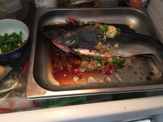 hk steamed pating fish