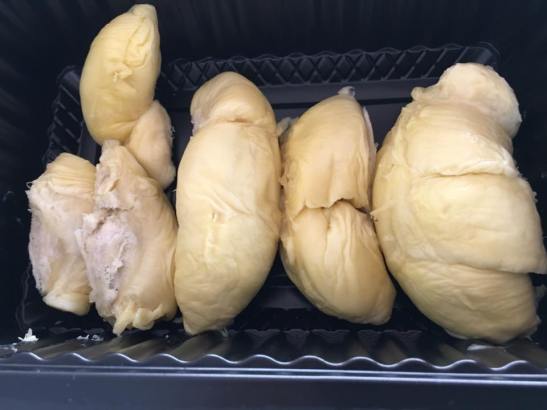 XO durians