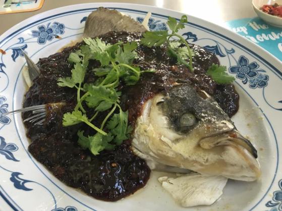 black bean sauce song fish head 松鱼头