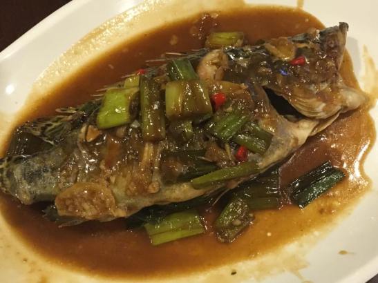 braised mandarin fish 红烧桂鱼