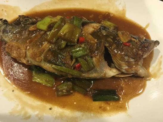 braised mandarin fish 红烧桂鱼