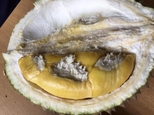 msw 猫山王 - S$41