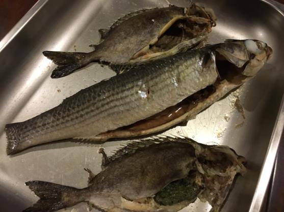 mullet & rabbit fish