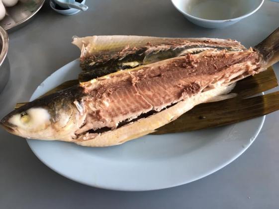 chilled mullet 冻乌鱼=S$17