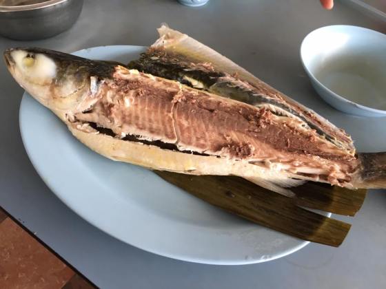 chilled mullet 冻乌鱼=S$17