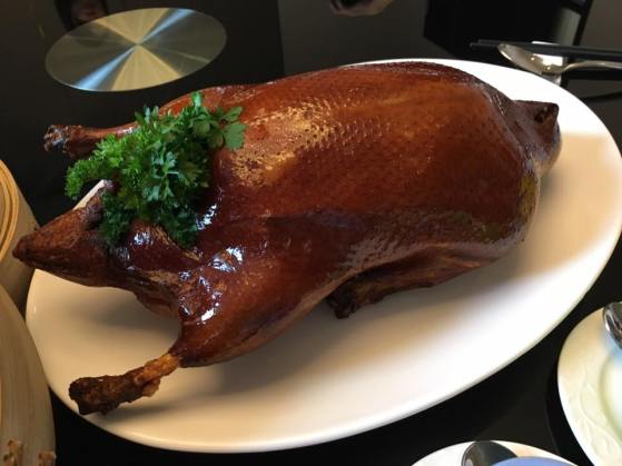 peking duck 五彩北京鸭
