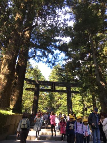 torii-gate-toshogu-shrine