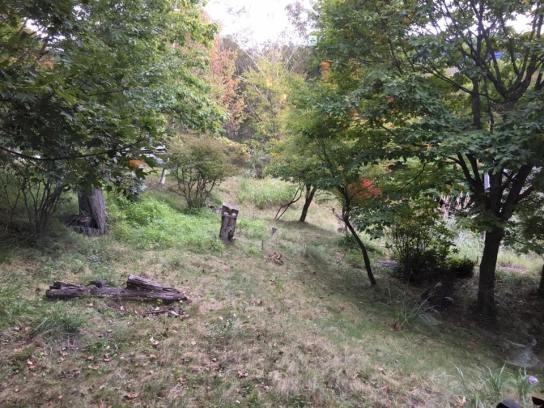 view from shikisai lobby