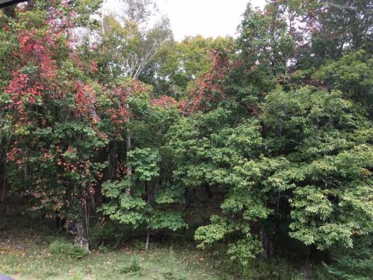 view from shikisai lobby 2