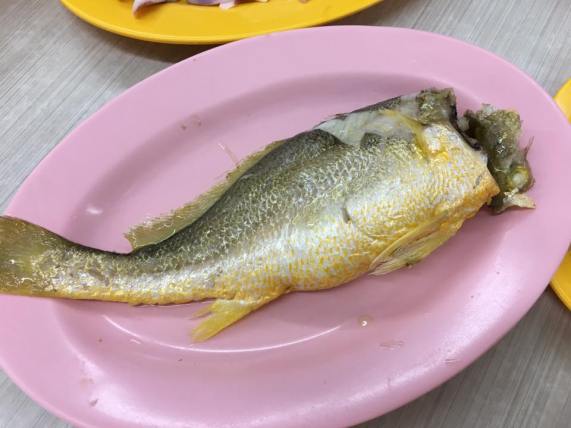 yellow croaker 小黄鱼