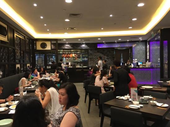 caton-paradise-starvista