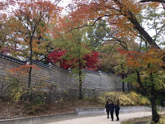 Day 1 - Changgyeonggung eastern palace 창경궁 昌慶宮, looking over to biwon secret gardens 秘苑