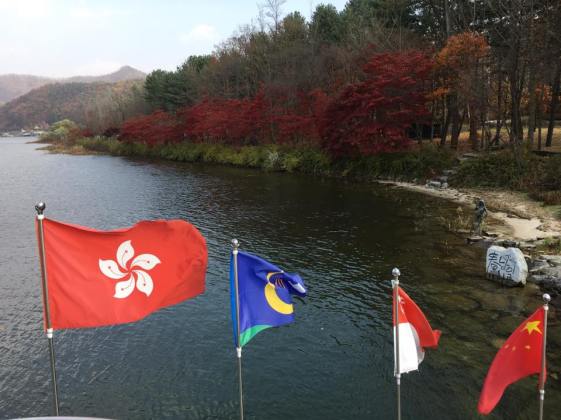 arriving at nami island 남이섬 南怡岛
