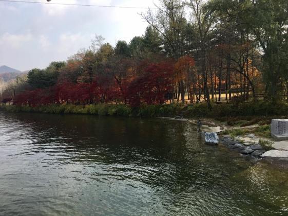 arriving at nami island 남이섬 南怡岛