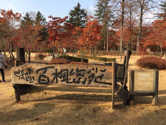nami Island 남이선 南怡岛