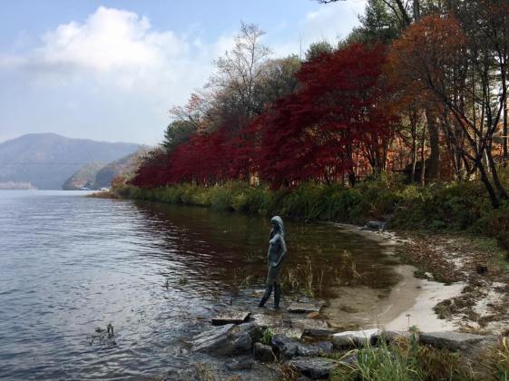 nami island 남이섬 南怡岛