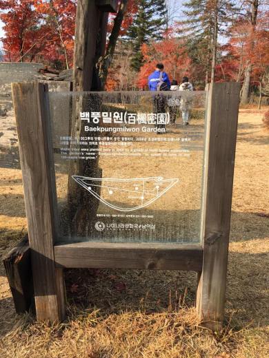 nami Island 남이선 南怡岛  