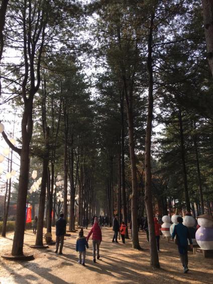 nami Island 남이선 南怡岛