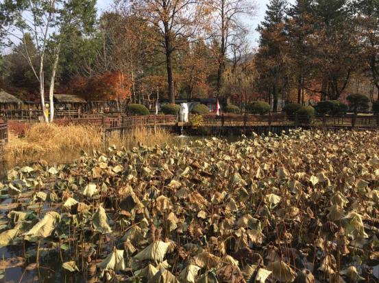 what is merlion in nami Island 남이선 南怡岛?