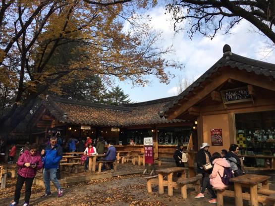 nami Island 남이선 南怡岛