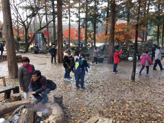 nami Island 남이선 南怡岛 