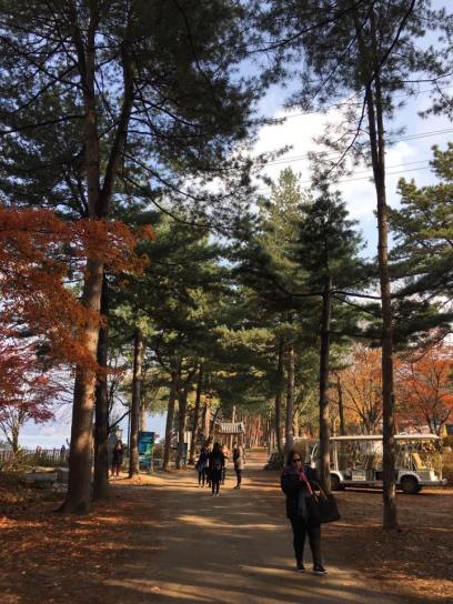 nami Island 남이선 南怡岛