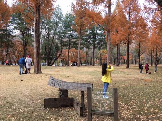 nami island