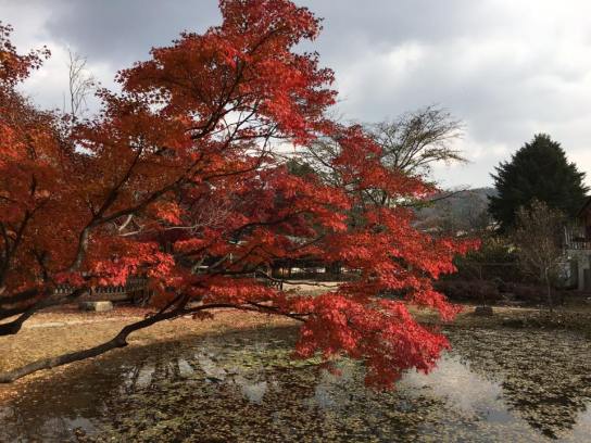 nami island