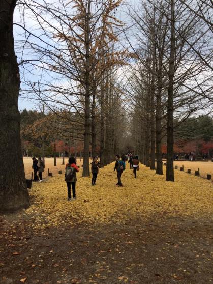 nami Island 남이선 南怡岛
