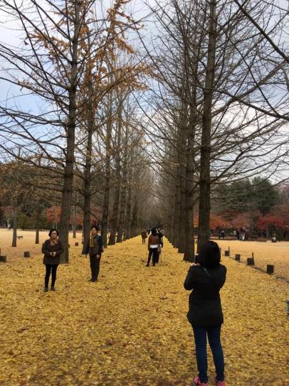 nami Island 남이선 南怡岛