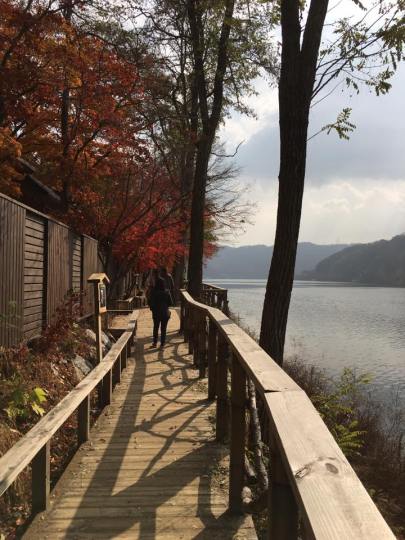 nami Island 남이선 南怡岛