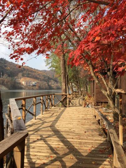 nami Island 남이선 南怡岛