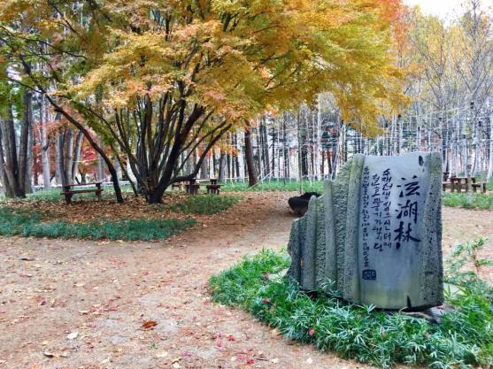 nami Island 남이선 南怡岛